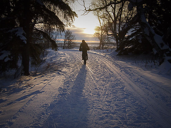 Rider in Anchorage, Coastal Trail.jpg