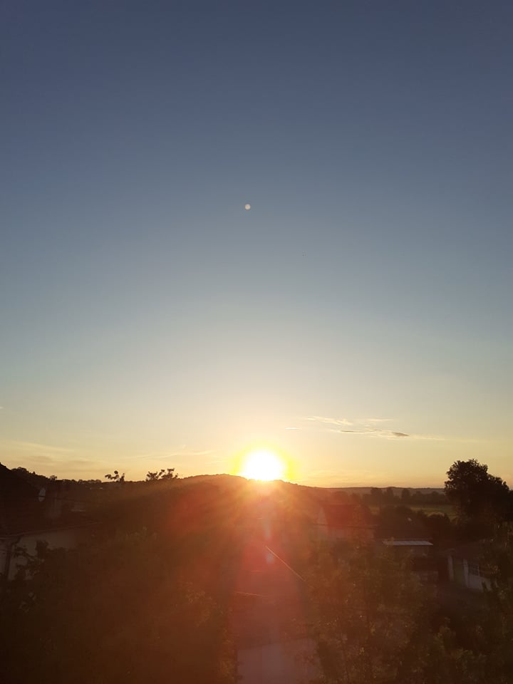 248886423_915781639353794_4818468574774613929_n.jpg