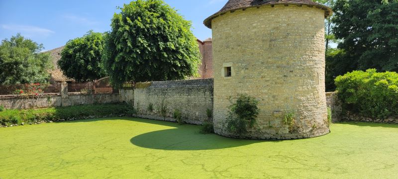 20230529_155348.jpg